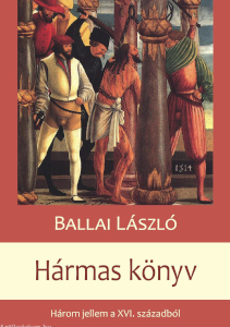 Boríto kép